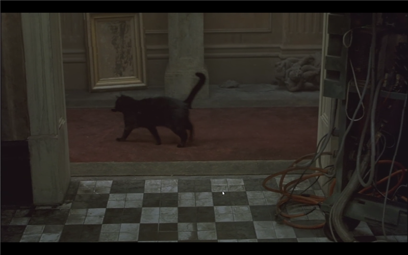 Arvutim&auml;ngust armulauani