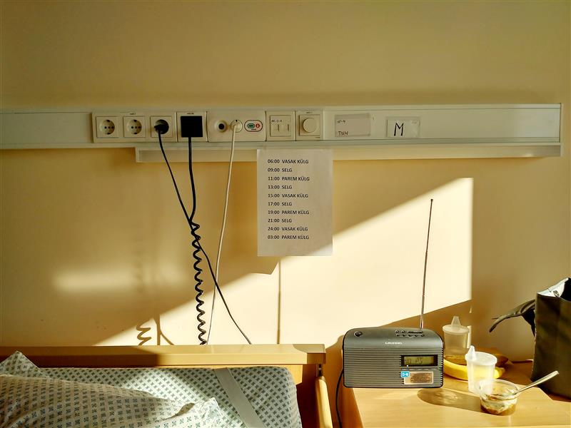 Ajastutruu romaan haigusest ja armastusest