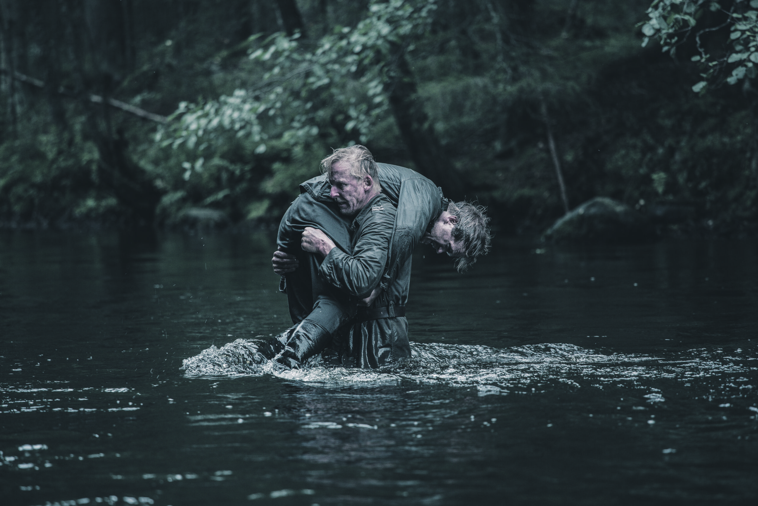 &Ouml;&ouml;sel on k&otilde;ik kassid hallid