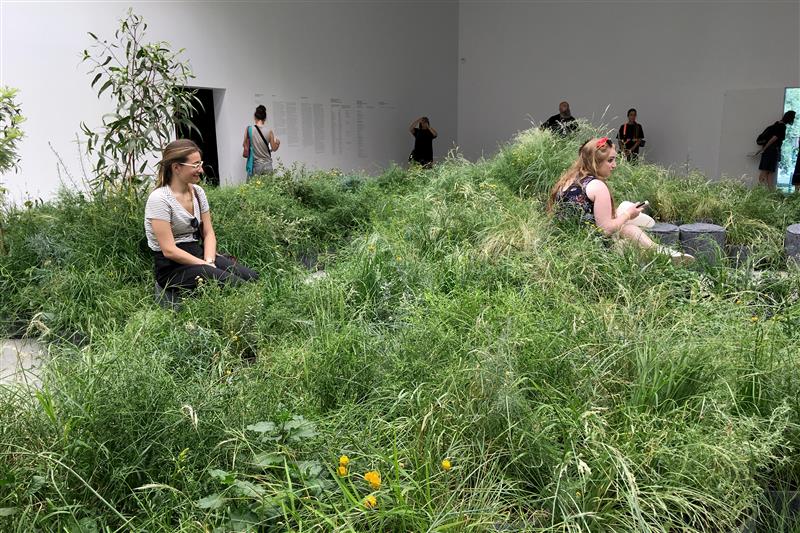 Arhitektuuripõllu harimine Veneetsias