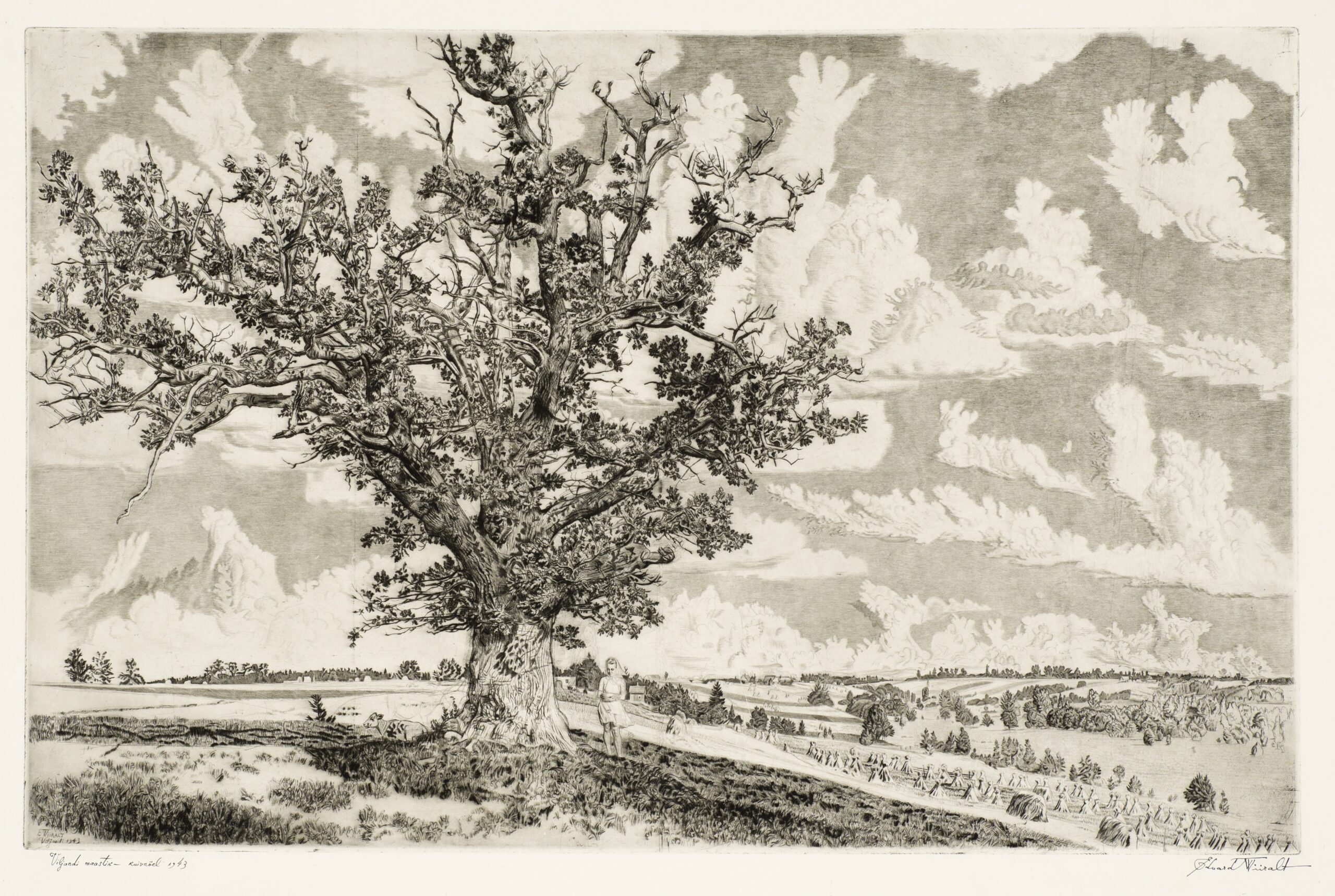 Argitraagika XVII  &ndash; Juurte needus