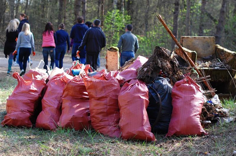 Tarbimine tappis su kultuuri