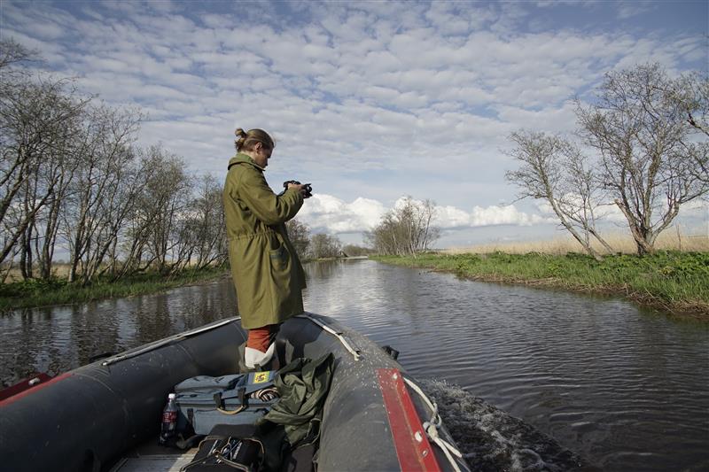 Tuulte tahutud Matjus