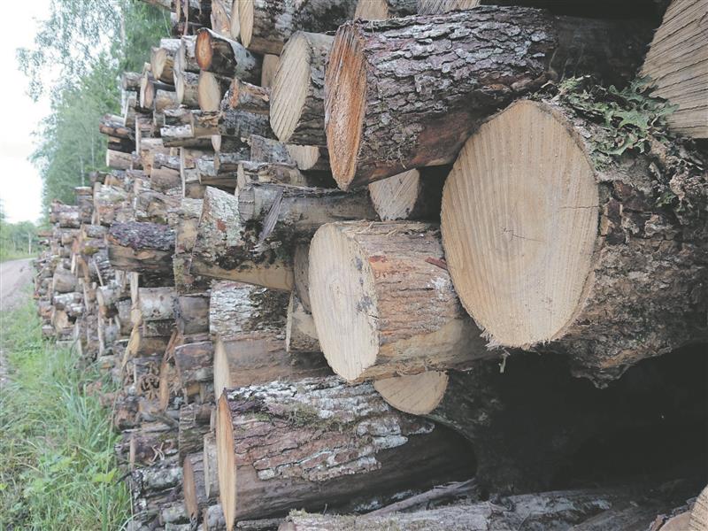 Mõtleks kastist välja, aga mida kastiga teha?