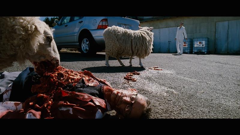 Post-sõnastik XLIII  – loomaõudus