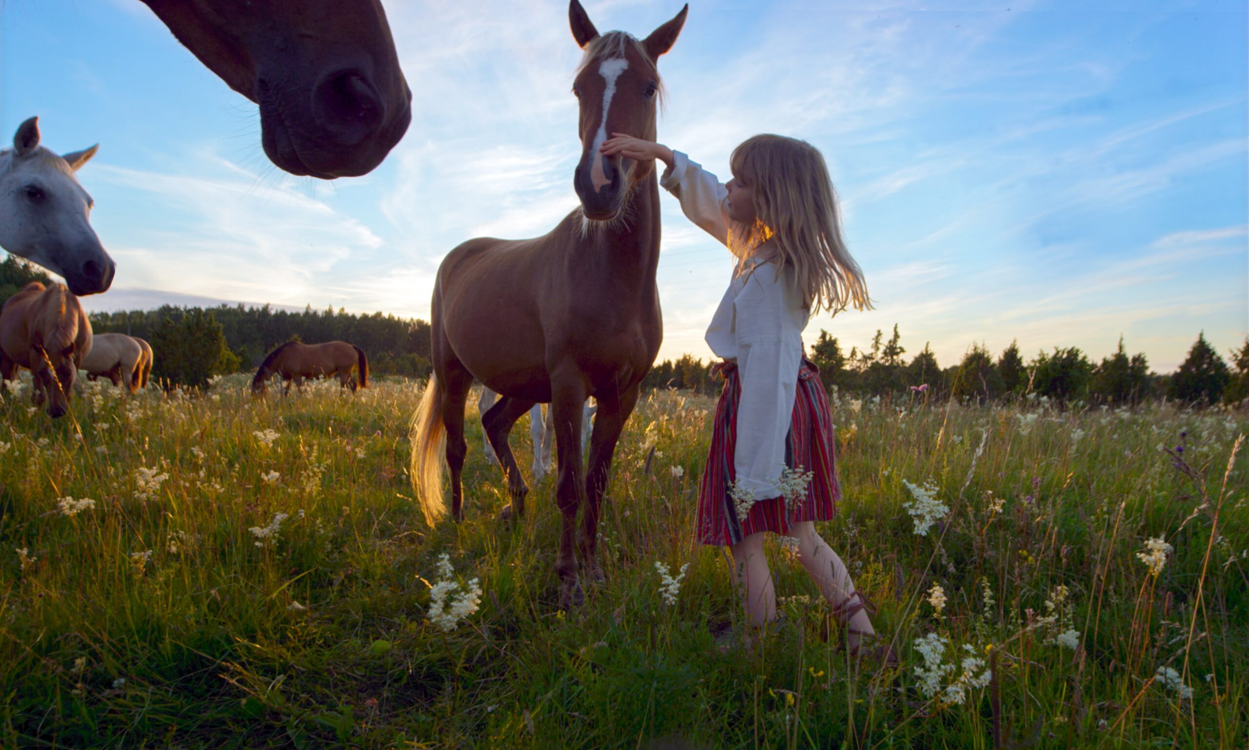 PÖFFi suurejoonelist avafilmi saadab 150 muusikut