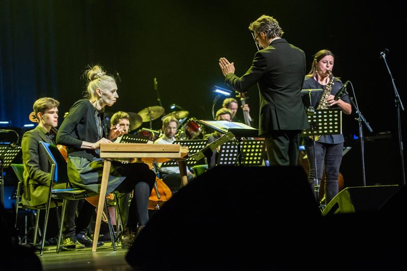 Kaasamõtlev, kaasanoogutav