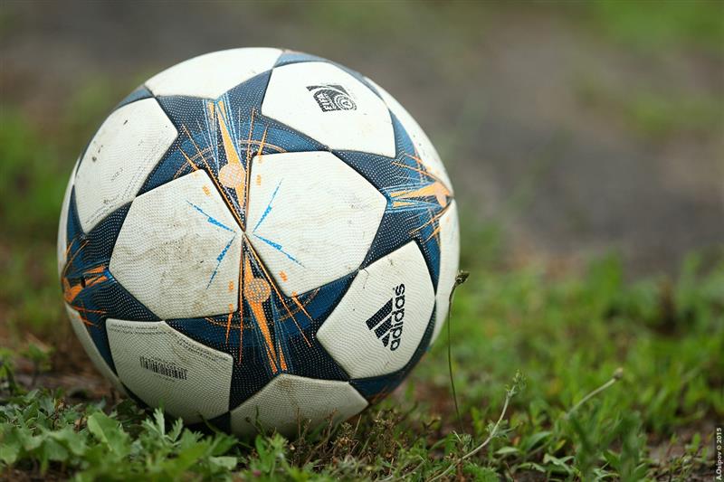 Monsanto dokumendid IV