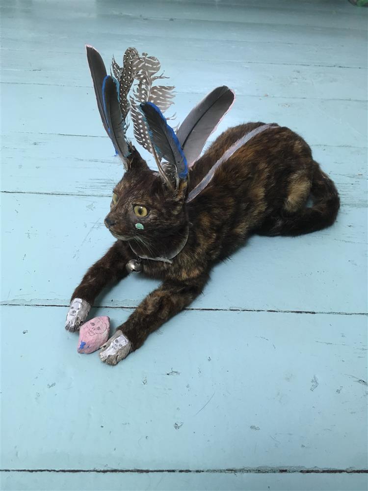 Laetud objektide emotsionaalne ja poliitiline potentsiaal