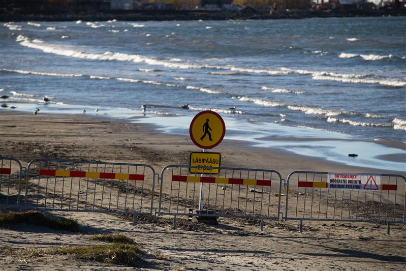 Julgus, ausus ja visioon planeerimises