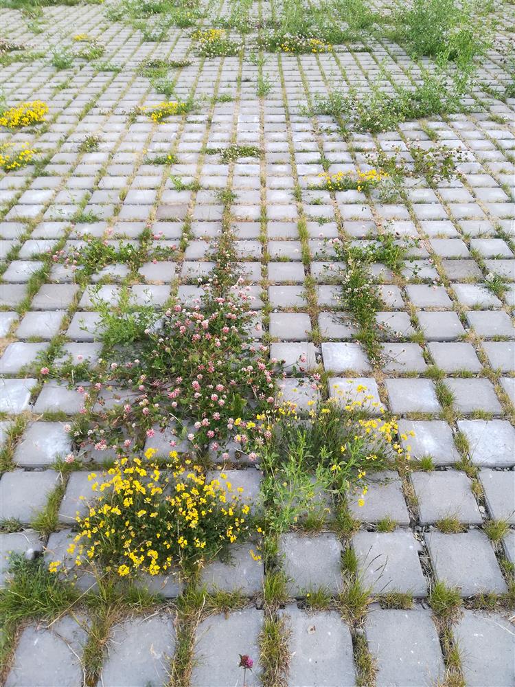 Väliruumipealinn Tartu