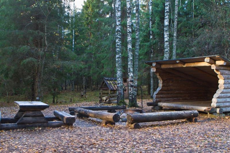 Disaini puudutuseta RMK