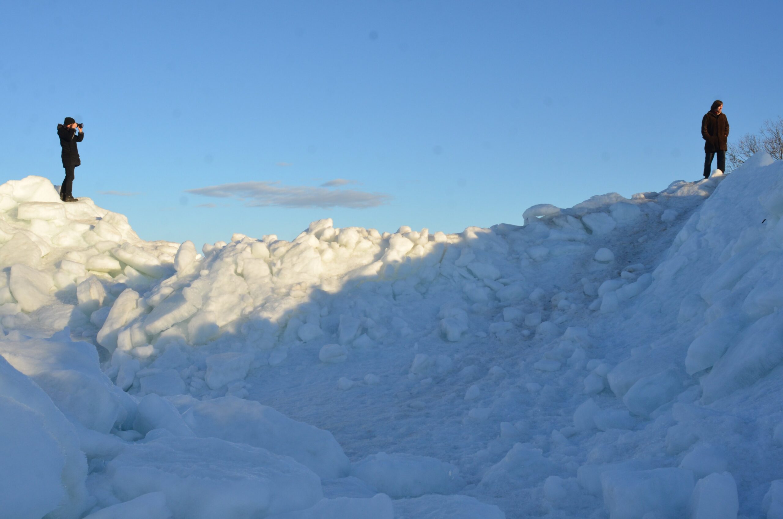 Voronja kuuenda hooaja kunstnikud on selgunud