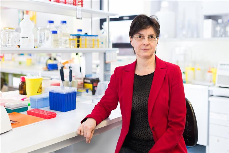 Teadus ja arendus käsikäes