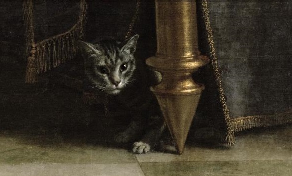 Nunnud kassid ja funktsionaalsed raamatud