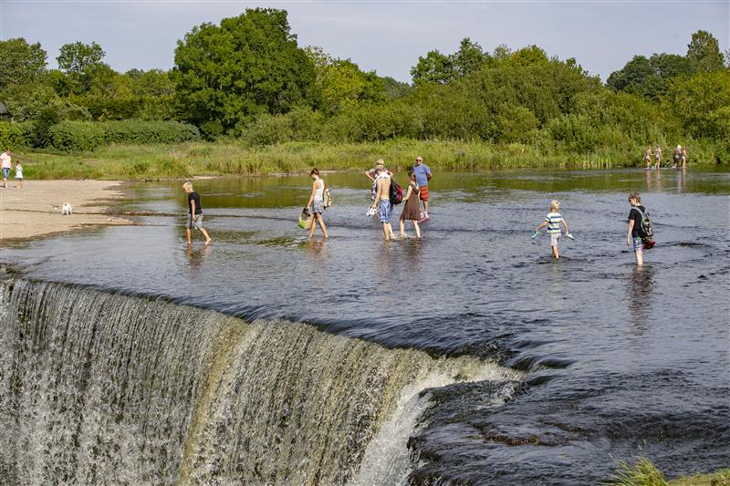 Segregatsiooni n&otilde;iaring