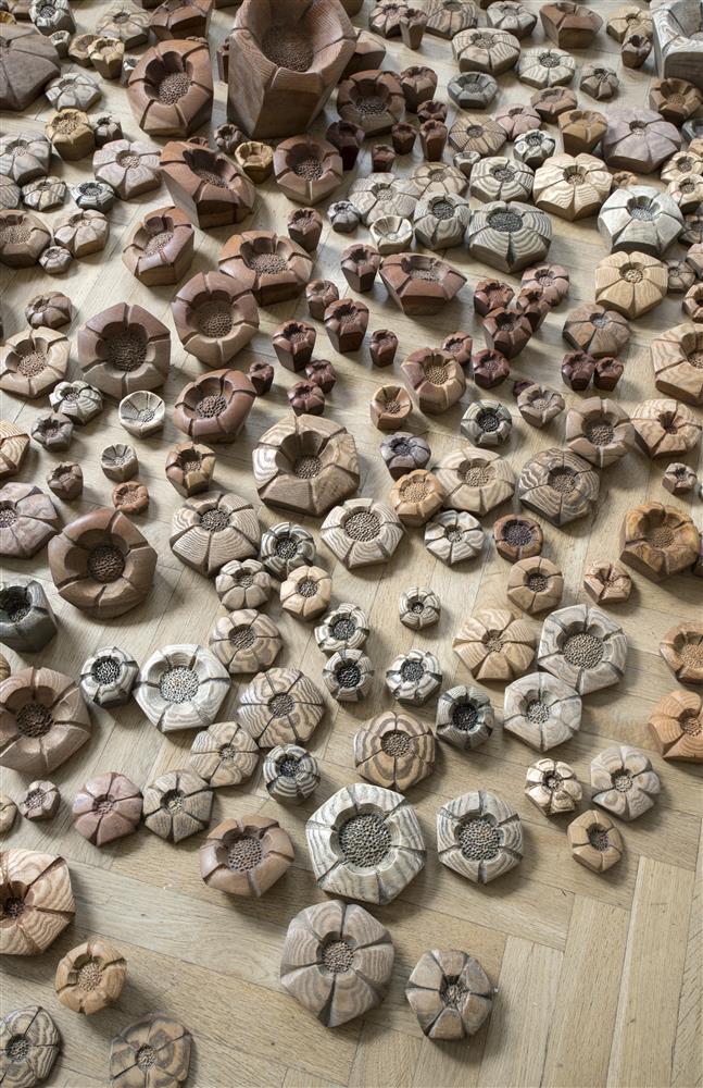 Miks te ei nimeta kakaod v&otilde;i kohvi immigrandiks?*