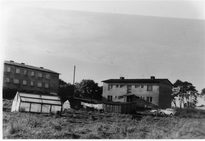 Eesti aia ajalugu kirjas