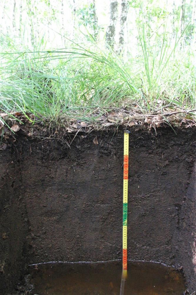 Pikisilmi kõrgemalt tulevaid reegleid oodates. Mis saab siis, kui Euroopast käsulaudu ei tulegi?