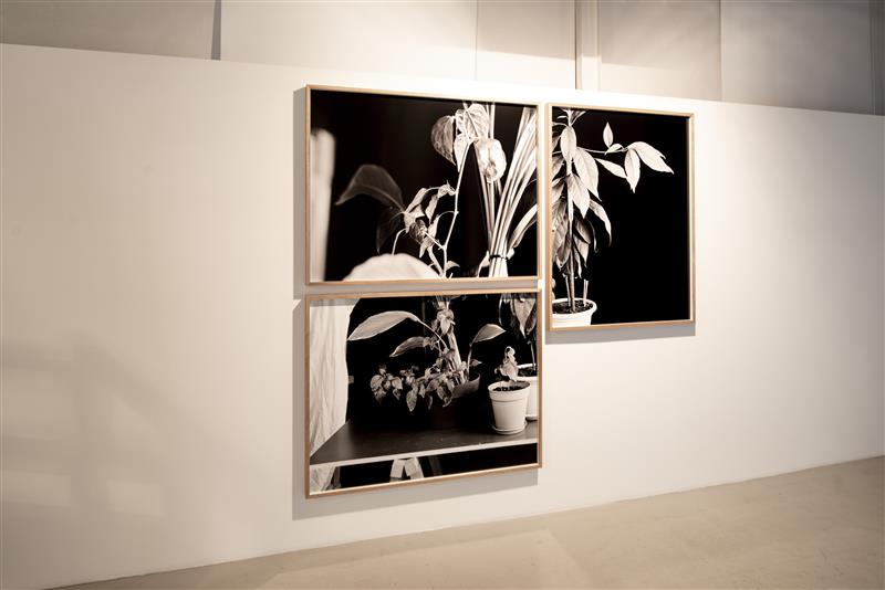 Kunstnik ja tisler, ungarlane ja eestlane Dénes Farkas