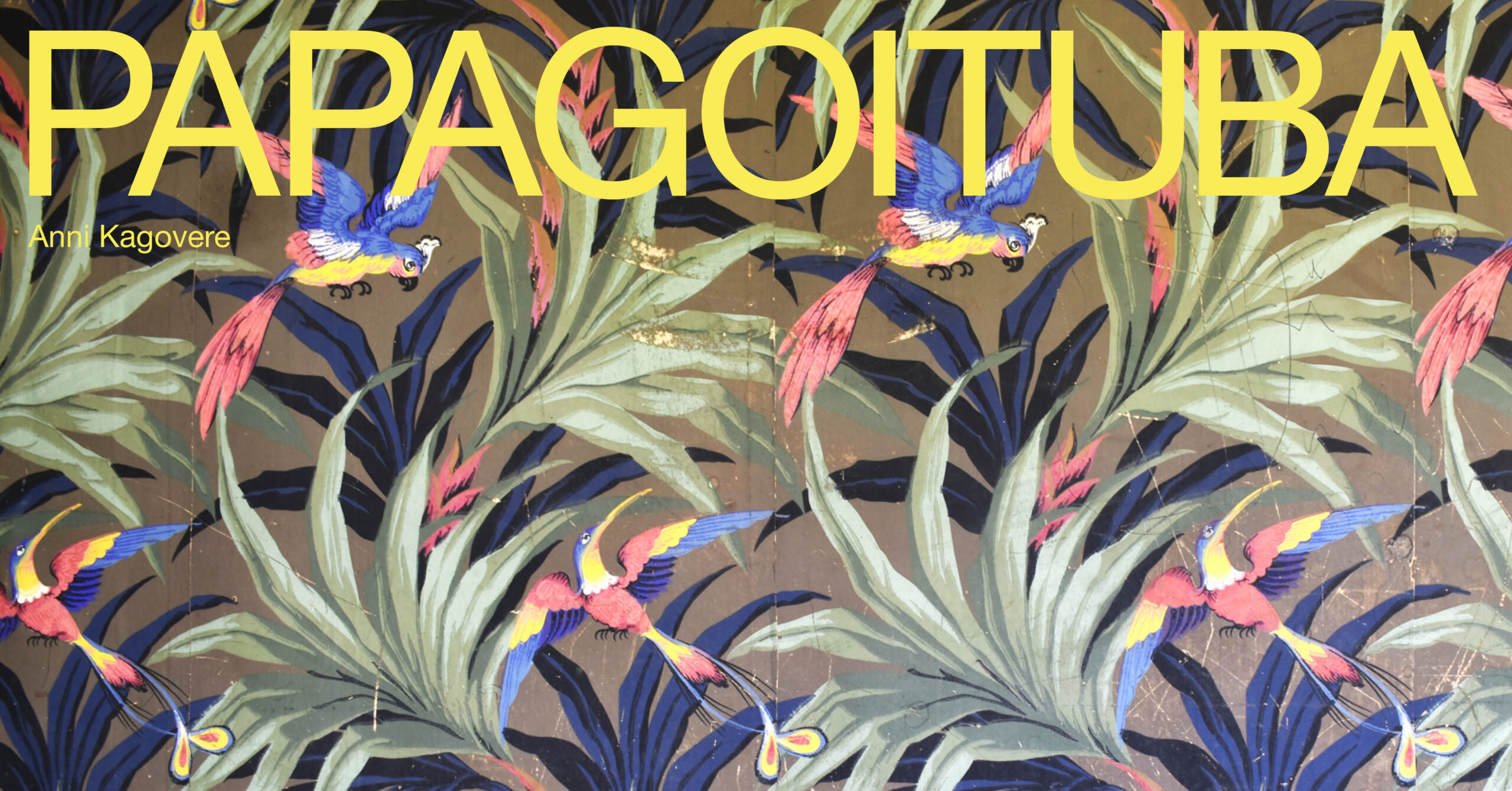 Anni Kagovere isikunäituse “Papagoituba“ A-galerii seifis