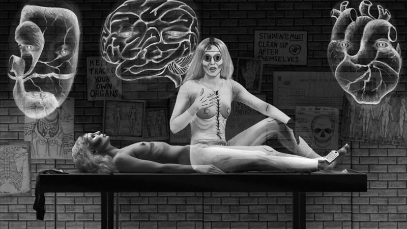 Provokatiivne, kuid lõdvavõitu