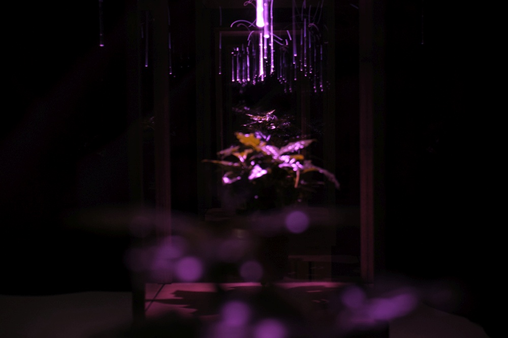 Taavi Suisalu Tartu Kunstimajas