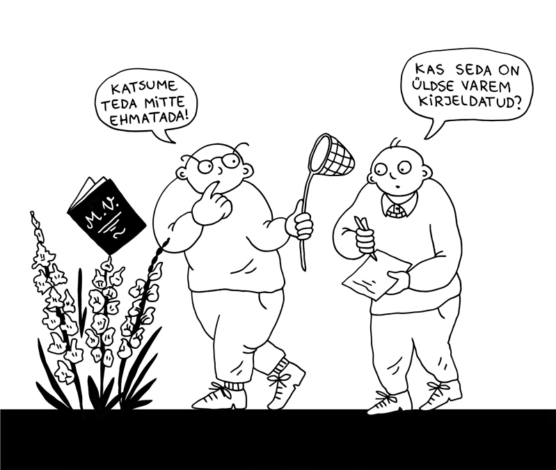 Avatud kriitika ülistus