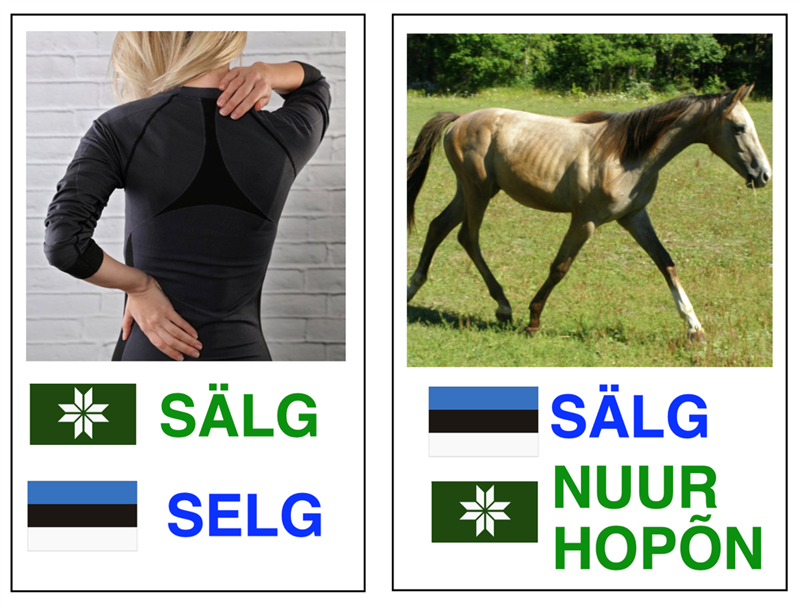 Kakskeelsus ja keelepoliitika v&otilde;ru-eesti n&auml;itel