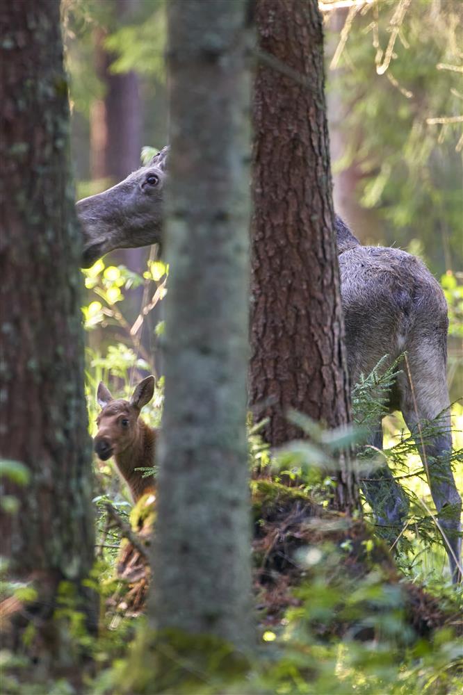 &Otilde;nneliku tuleviku kindlustab meile elurikkus