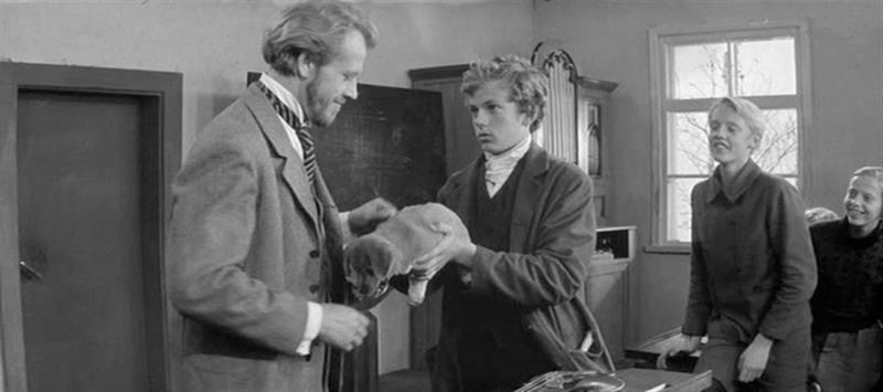 Halb asi, see kättemaksmine, ütles õpetaja Laur