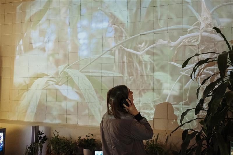 Orienteerumism&auml;ng Arsis