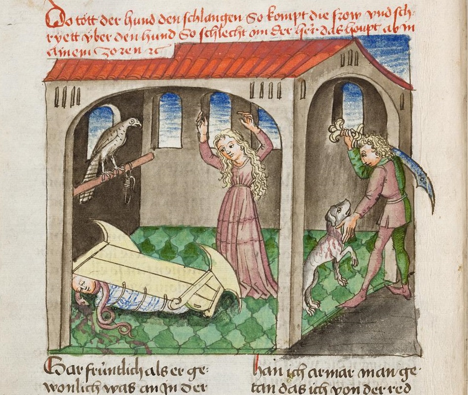 Taltsutamatud roomlased keskajal