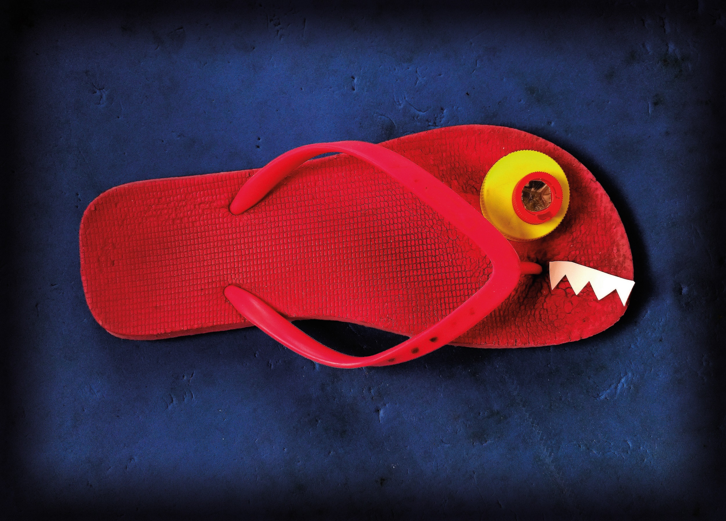 Avatakse Ungari illustraatori Jacqueline Molnári isikunäitus