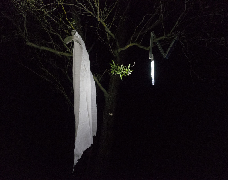 Krista Möldri näitus “enne kui päike meie silmi pimestas”