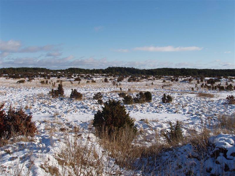 L&otilde;putu olevik