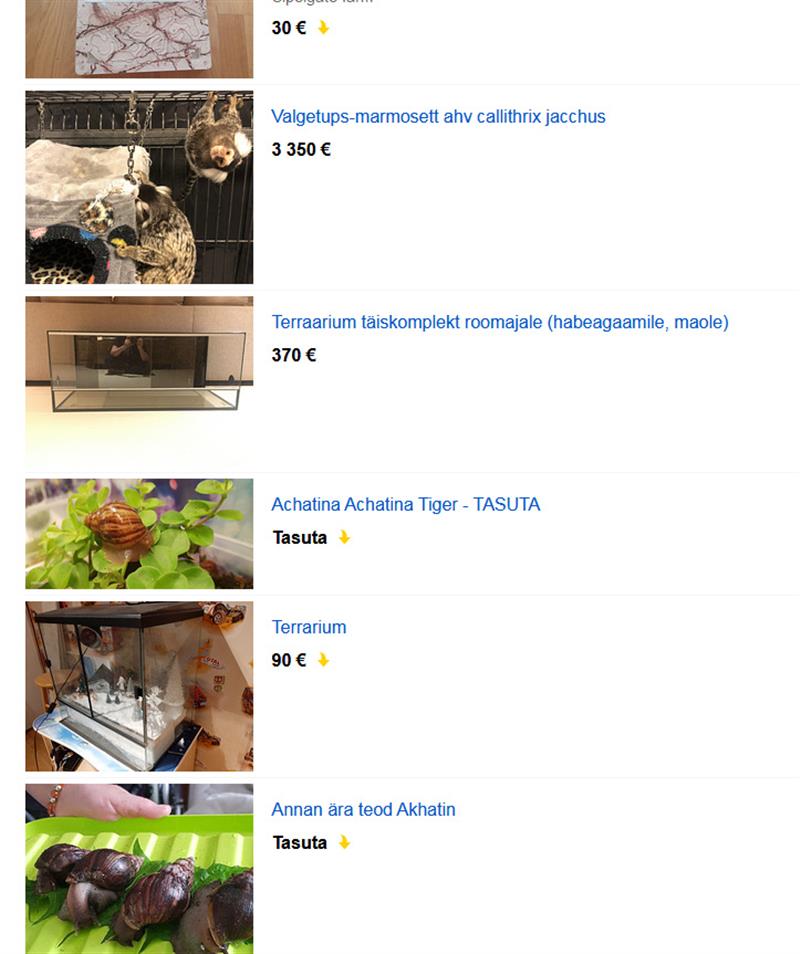 Miks ja kuidas reguleerida eksootiliste loomade kaubandust?