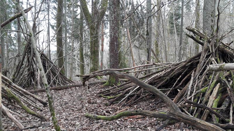 Gustav Suitsu auhind maheluulele