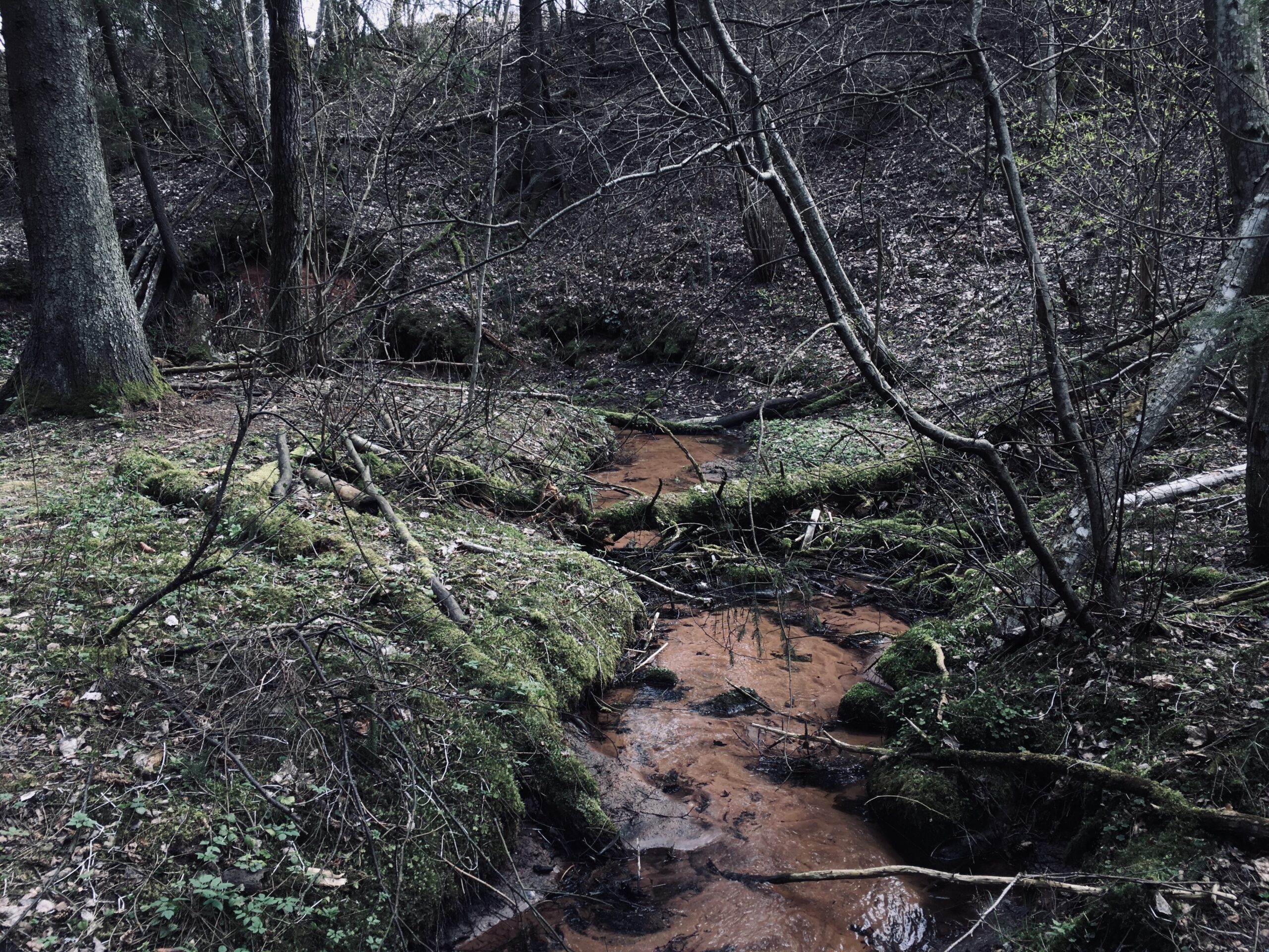 Mõra jõe kallast mööda