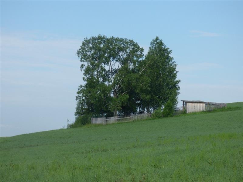 P&uuml;hapaikade eluring