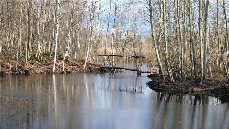 Metsa ruumiline planeerimine viib koost&ouml;&ouml;le