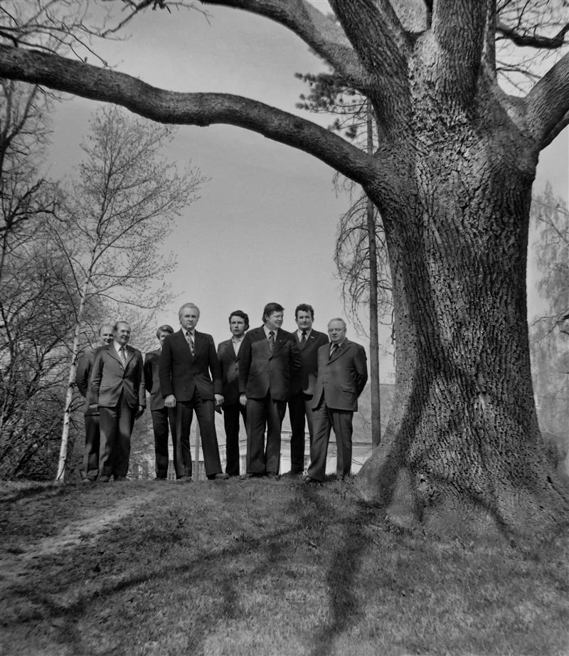 Nõnda arvas Käbin …