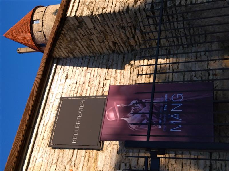 Viirus kui nähtamatu zen-master*