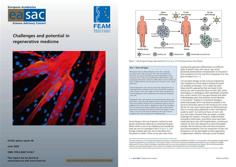 Euroopa teaduste akadeemiate regeneratiivmeditsiini tulevikuvisioon