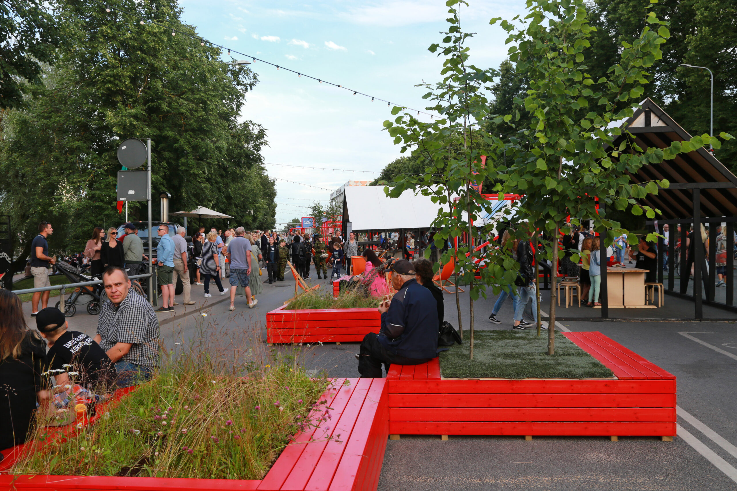 Vabastatud puiestee: Tartult kae eemaldamine