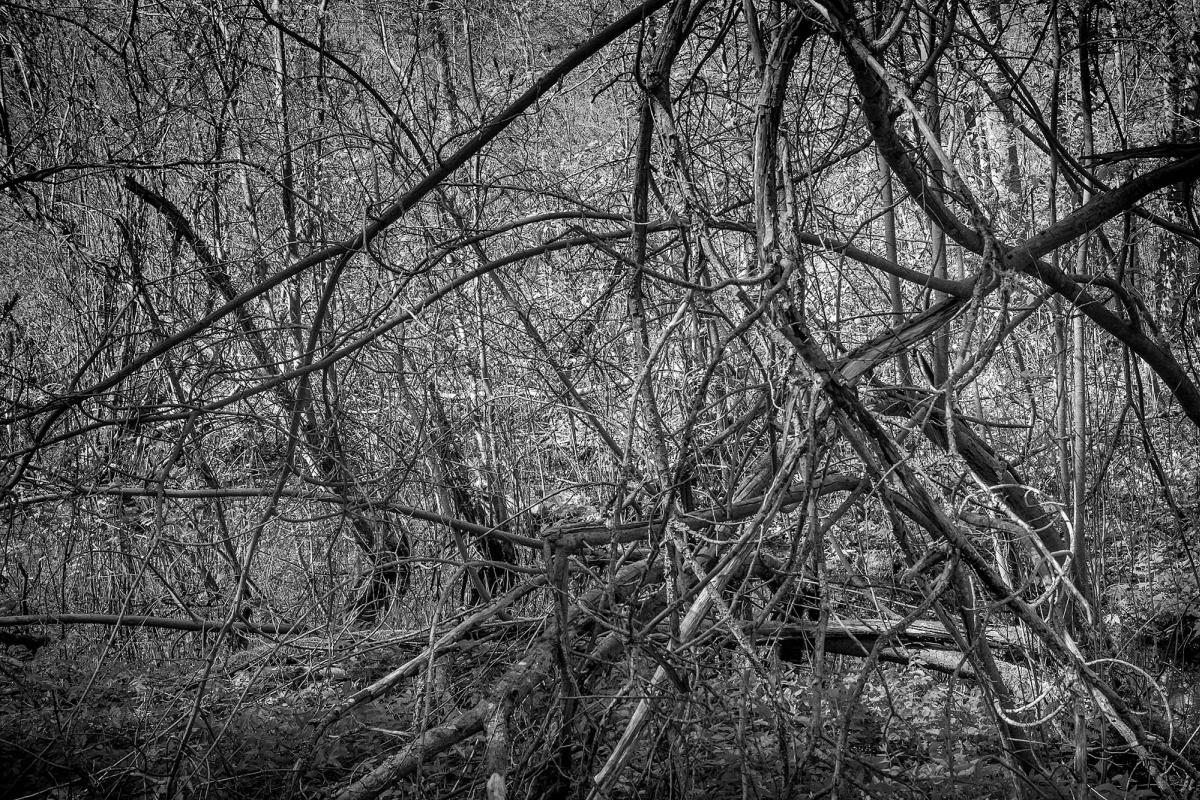 Arne Maasik Tartu Kunstimajas