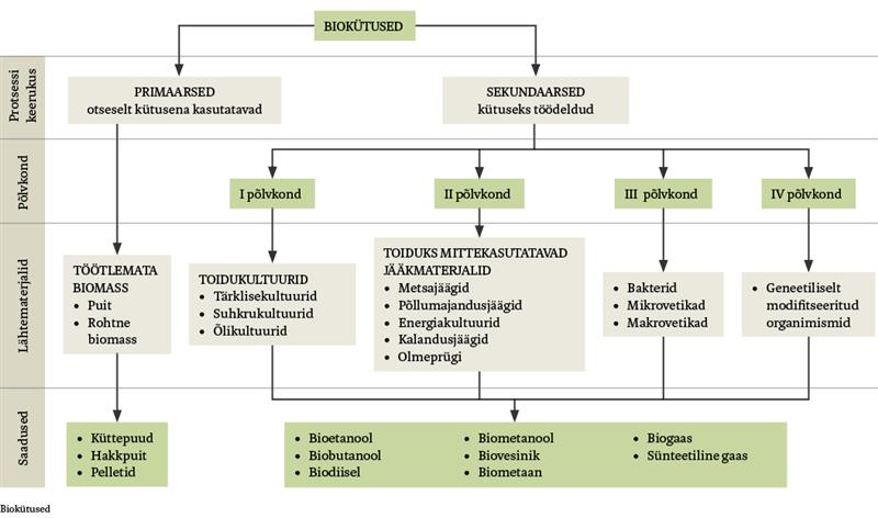 Biok&uuml;tused, Eesti avastamata kuld