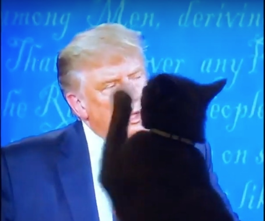 (Enese)abiks neile, keda poliitika kahjustab