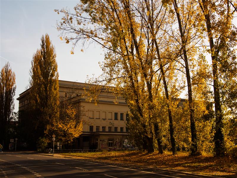 Pilk Berliinist VIII  – Tantsiv revolutsioon 30 aastat hiljem