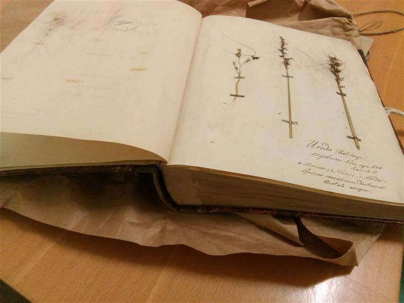 200 aastat end Eestiga sidunud tegusa mehe sünnist